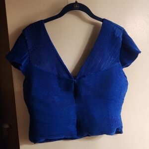 Express Cobalt Blue V-Neck Blouse